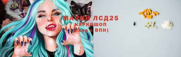 стафф Аркадак