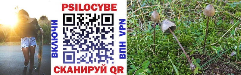 ссылка на мегу рабочий сайт Луховицы Псилоцибиновые грибы Psilocybe закладки